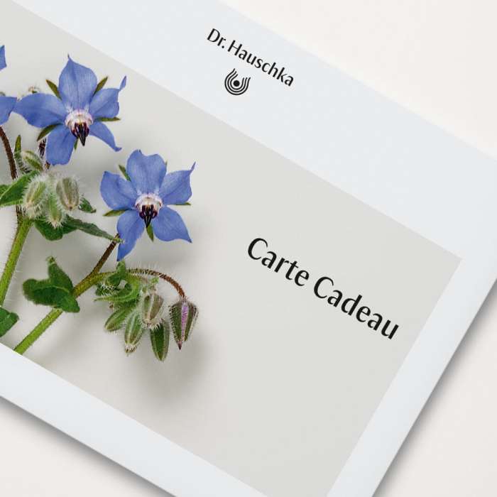 Carte Cadeau 50€