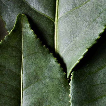 Palette Yeux & Sourcils